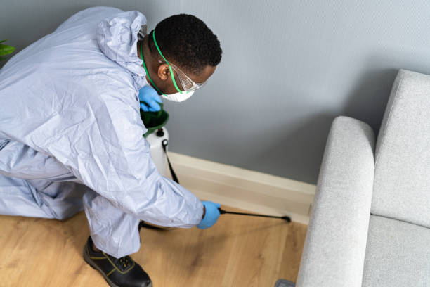 Real Estate Pest Inspections in Junction, TX